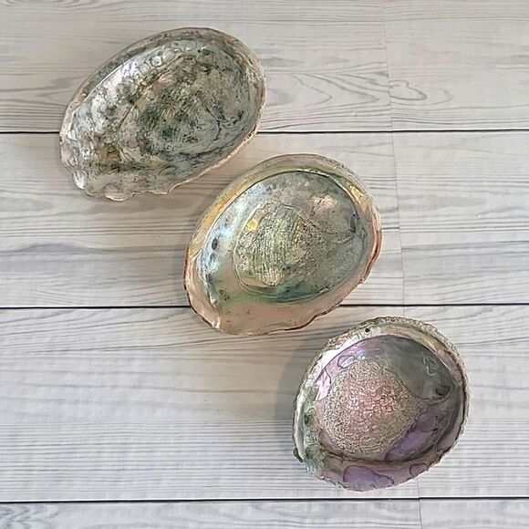 Vintage abalone shells iridescent colored set of 3